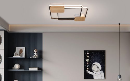 Ceiling Light Image