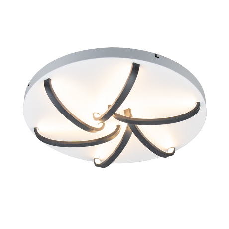 Modern Elegant Curved LED Ceiling Light Image