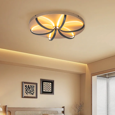 Modern LED Ceiling Light