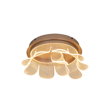 Gold Ceiling Lights