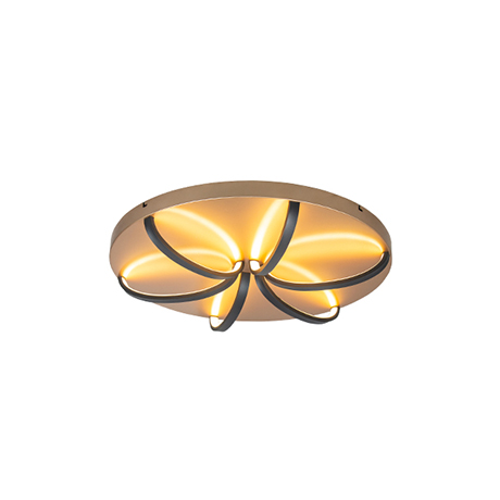 Home Ceiling Lights
