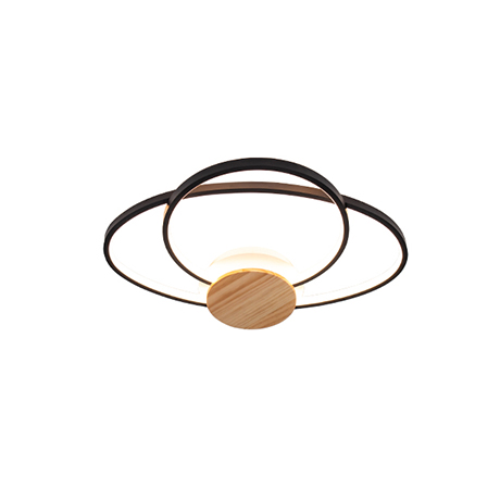 Ceiling Lights for Living Room