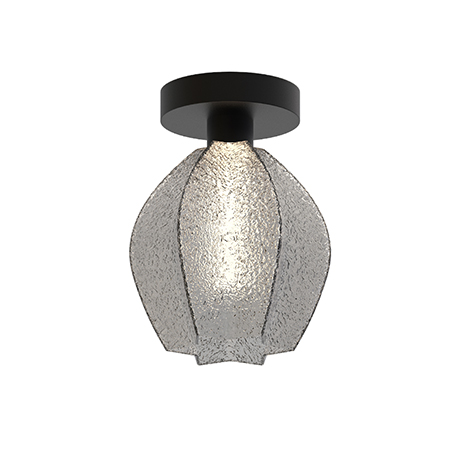 Ceiling Light Image